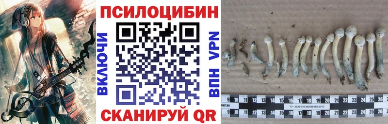 где найти наркотики Новомичуринск Галлюциногенные грибы прущие грибы