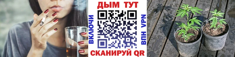 Шишки марихуана Bruce Banner  Новомичуринск 